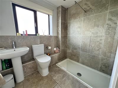 Picture 23